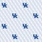 Sykel Enterprises-University of Kentucky Cotton Fabric-Kentucky Wildcats White Block Letter Cotton Quilting Fabric
